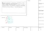 legany_01330
