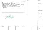 legany_01539