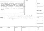 legany_06943